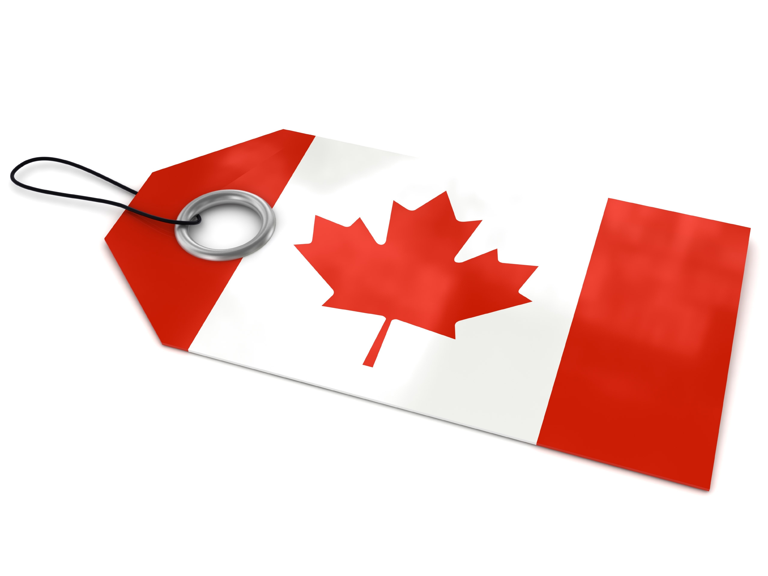 Canadian Permanent Resident Status